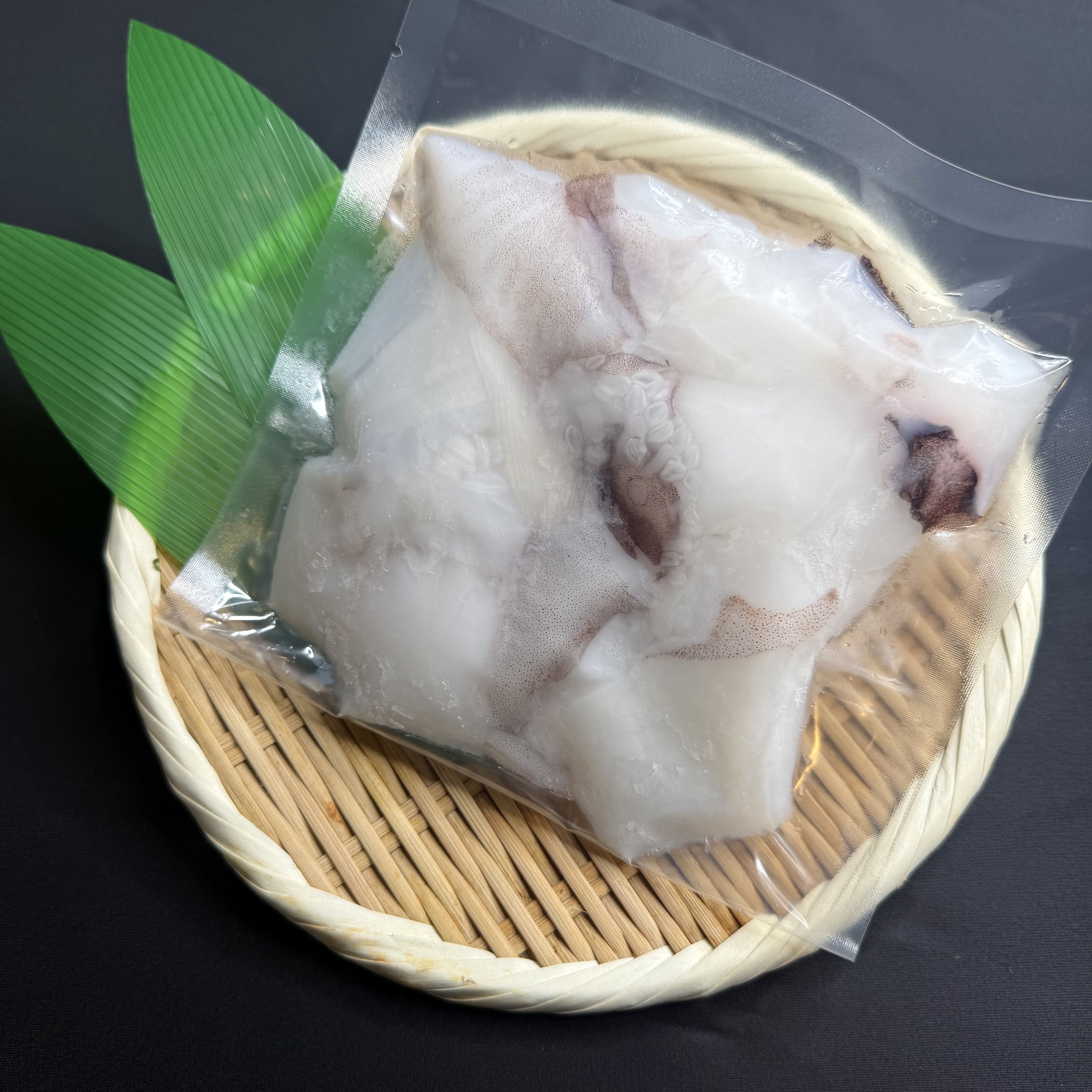 世界最大級の甲イカ コブシメ