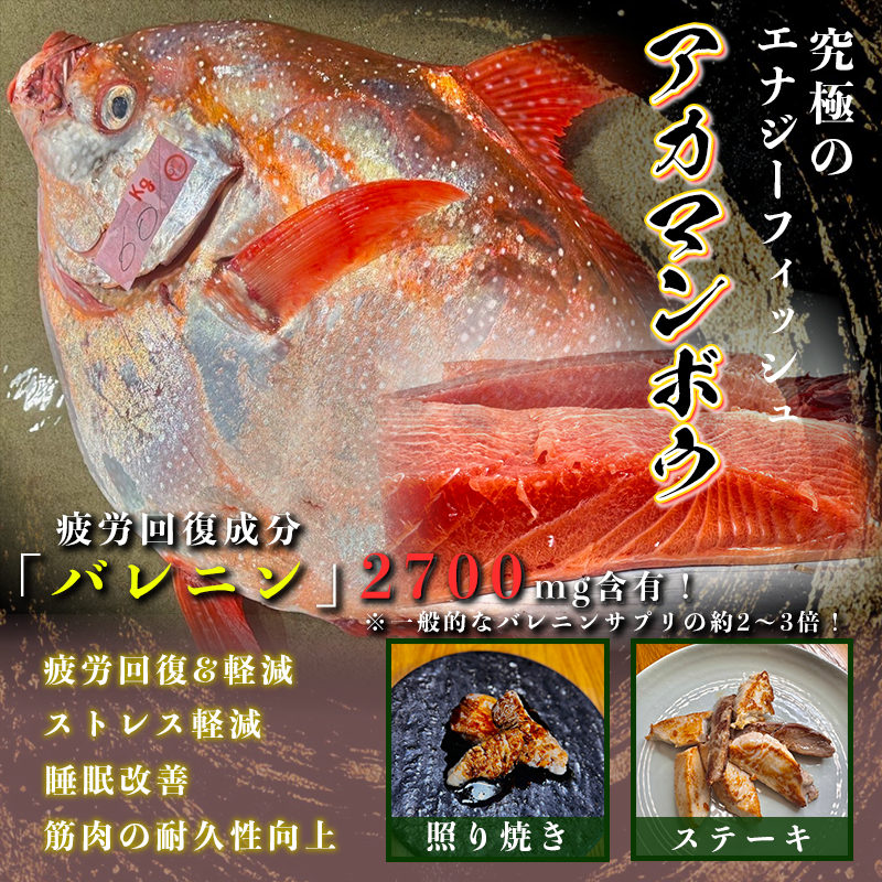 アカマンボウ～究極のエナジーフィッシュ～