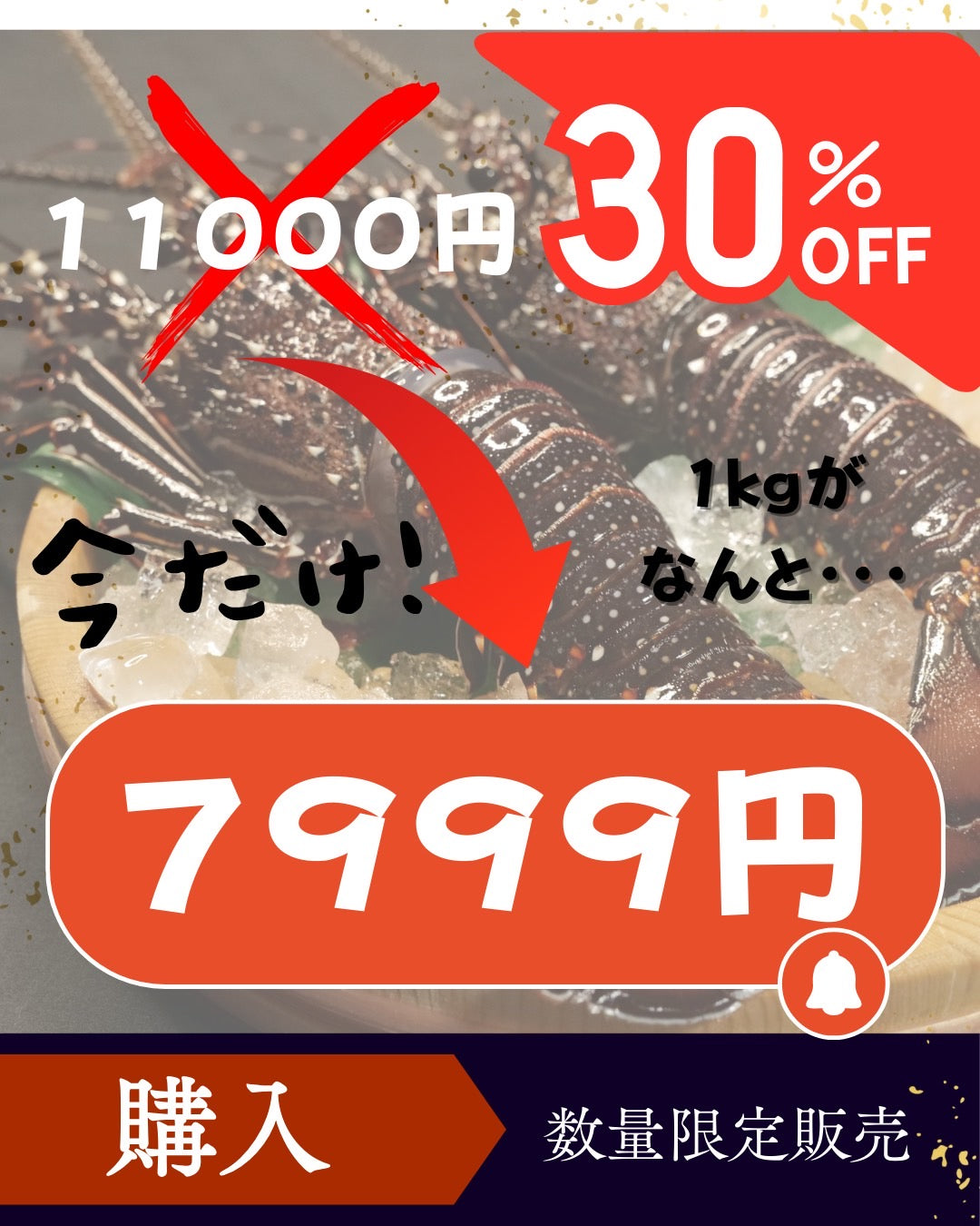 【送料無料】天然活〆  冷凍イセエビ
